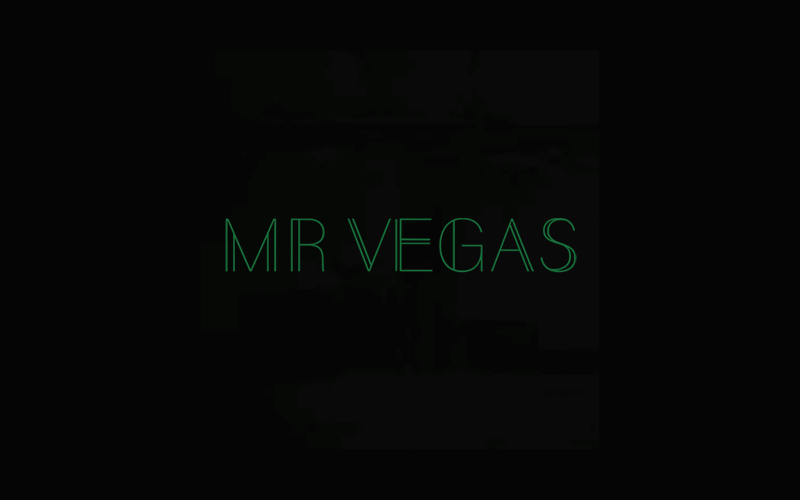 Mr Vegas